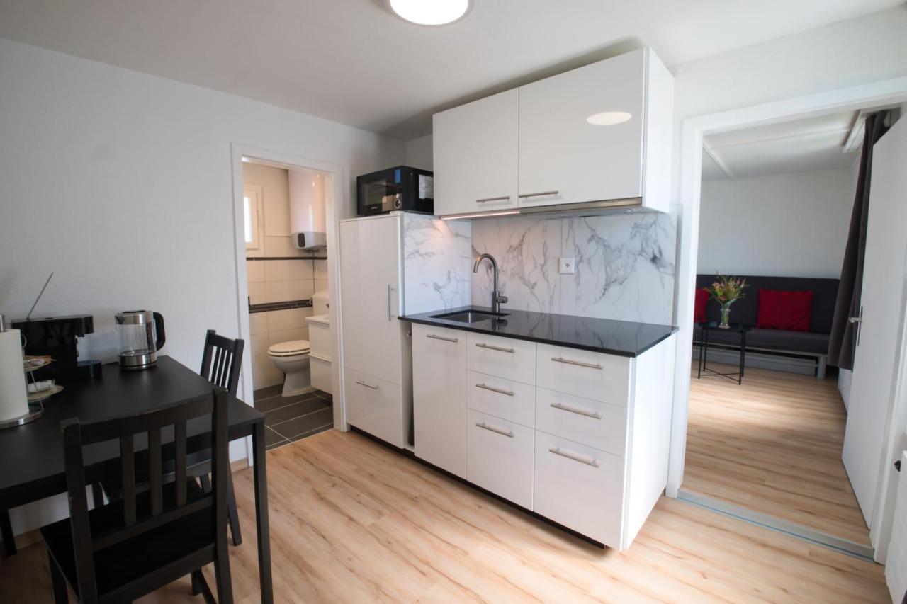 Lake Getaway Apartment With Private Entrance, Right On The Lake Constance Cycle Path, Barbecue Area, Free Wifi, Netflix And Free Bikes Salmsach Extérieur photo