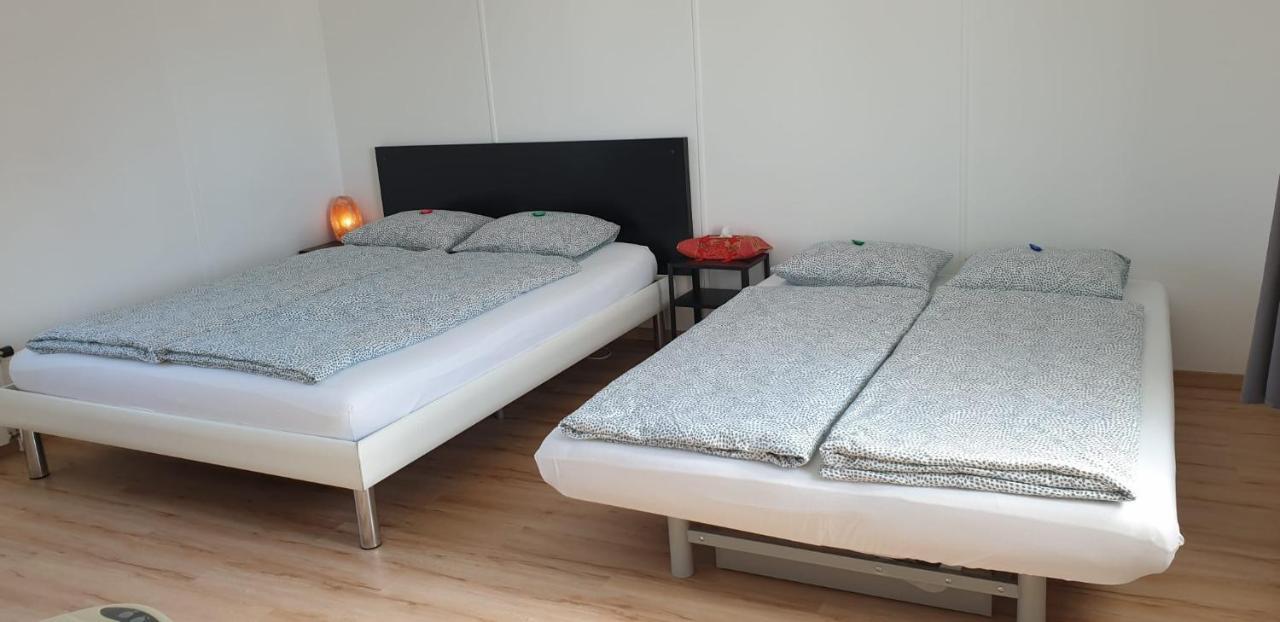 Lake Getaway Apartment With Private Entrance, Right On The Lake Constance Cycle Path, Barbecue Area, Free Wifi, Netflix And Free Bikes Salmsach Extérieur photo